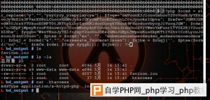 PHP后门隐藏与维持技巧