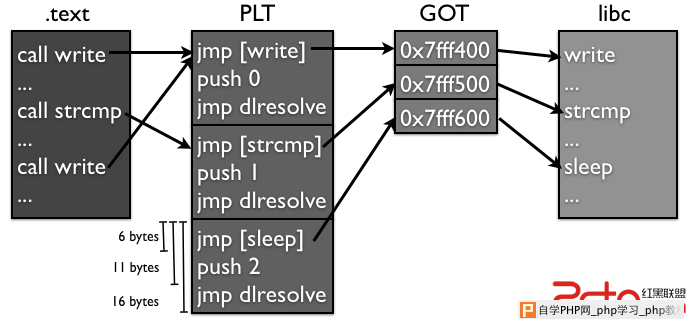 plt structure