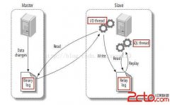 MySql的主从复制备份 - mysql数据库栏目 - 自学php