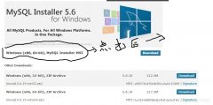 最新版本MYSQL官网下载地址但是必须要注册后才能