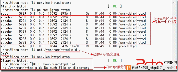 wps_clip_image-3966