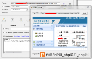 将注入点丢入工具进行测试