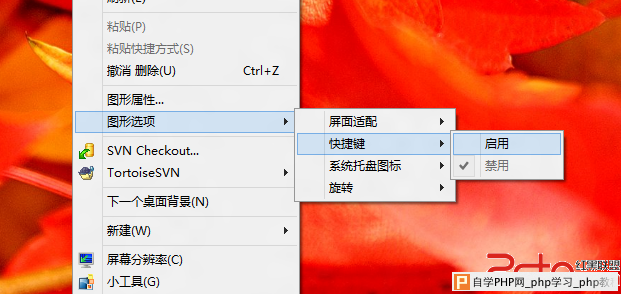 win7屏蔽ctrl+alt+up/down快捷键/ - Windows操作系统 - 自