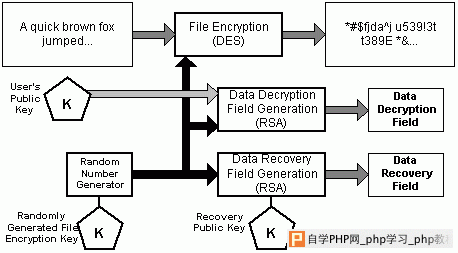 深入剖析EFS[zt] - Windows操作系统 - 自学php