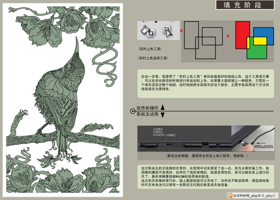 AI结合数位板绘制漂亮翠鸟插画过程 脚本之家 AI实例教程