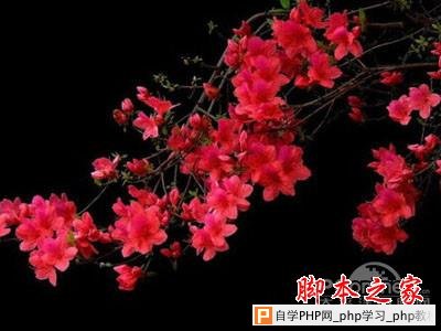 相机如何选择合适的分辨率