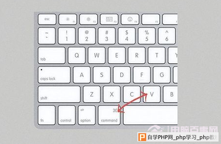 苹果电脑如何复制粘贴 苹果电脑复制粘贴键是什么