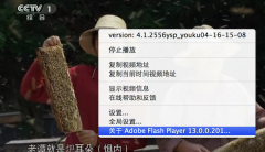 苹果电脑如何查看Mac版Flash Player的版本号_苹果