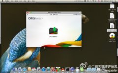 Office 2011 for Mac 安装图文步骤【附破解版下载】
