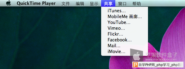 通过多种途径分享视频