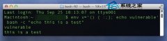 什么是bashMAC OS手动升级Bash的方法_苹果MAC_操作系