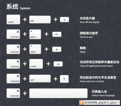 苹果必学知识，初学者保你涨知识！