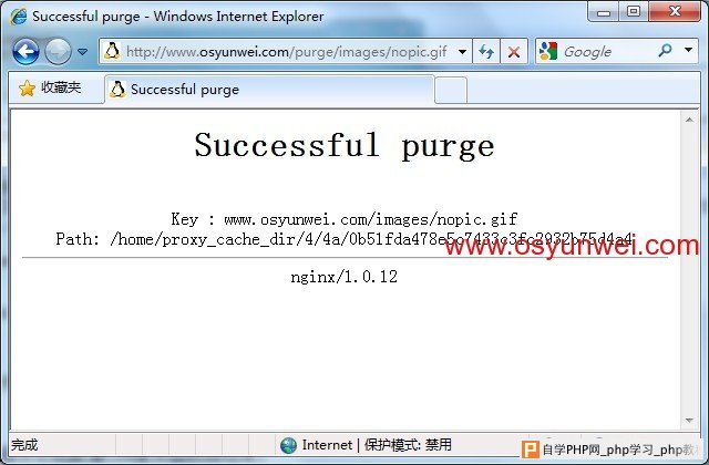 ngx_cache_pure_ok